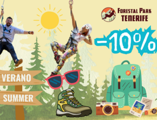 Verano 2024 en Tenerife repleto de aventura en nuestras gigantescas tirolinas
