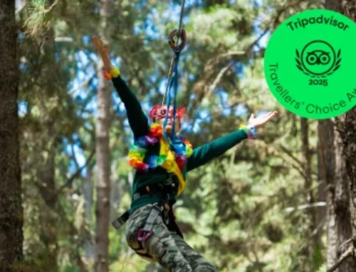 Forestal Park Tenerife recibe el premio Traveller’s Choice 2025 de TripAdvisor