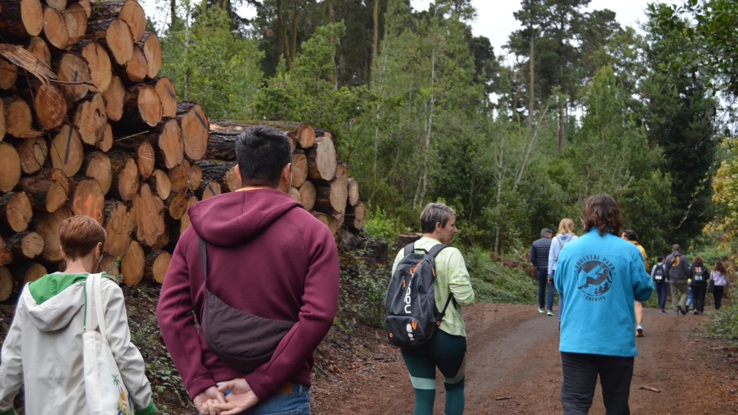 Caminata Jornada Regeneración Ecosistemas en Tenerife