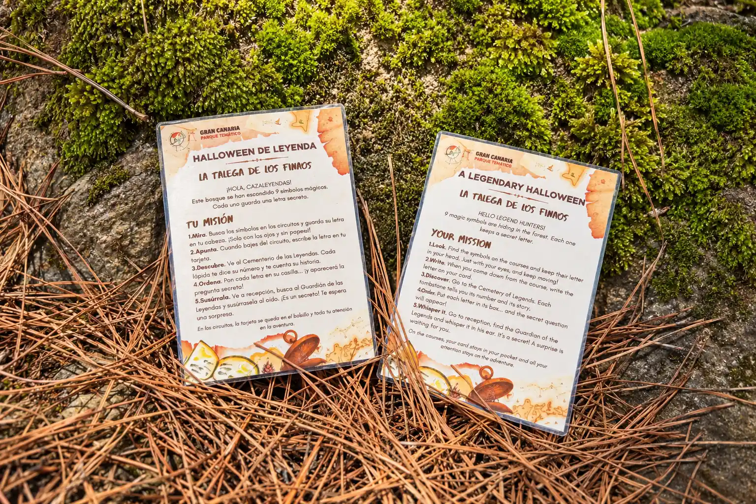 Tarjetas de La Talega de los Finaos de Forestal Park Tenerife, en español e inglés, colocadas sobre pinocha y rocas cubiertas de musgo en el bosque. Las tarjetas forman parte del juego de Halloween de Leyenda, en el que quienes participan deben encontrar símbolos y descubrir un secreto.